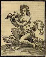 Picture 228 of 375 from Della piu che novissima iconologia (1630), leaf 551