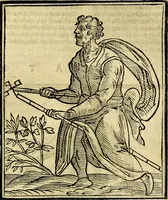 Picture 266 of 375 from Della piu che novissima iconologia (1630), leaf 656