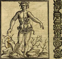 Picture 267 of 375 from Della piu che novissima iconologia (1630), leaf 657