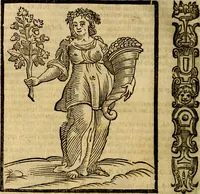 Picture 290 of 375 from Della piu che novissima iconologia (1630), leaf 695