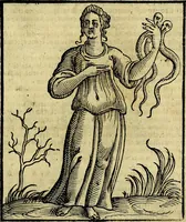 Picture 297 of 375 from Della piu che novissima iconologia (1630), leaf 708