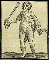 Picture 311 of 375 from Della piu che novissima iconologia (1630), leaf 742