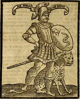Picture 338 of 375 from Della piu che novissima iconologia (1630), leaf 807