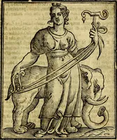 Picture 343 of 375 from Della piu che novissima iconologia (1630), leaf 822
