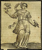 Picture 355 of 375 from Della piu che novissima iconologia (1630), leaf 852