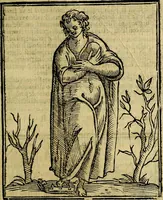 An illustration from Della piu che novissima iconologia (1630)