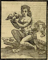 An illustration from Della piu che novissima iconologia (1630)