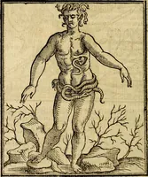 An illustration from Della piu che novissima iconologia (1630)