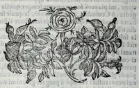 Picture 5 of 5 from Della poesia rappresentativa & del modo di rappresentare le favole sceniche : discorso (1598), leaf 72