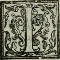 An illustration from Della ragion di Stato libri dieci : con tre libri Delle cause della grandezza, e magnificenza delle città (1589)