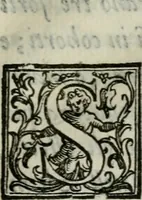 An illustration from Della ragion di Stato libri dieci : con tre libri Delle cause della grandezza, e magnificenza delle città (1589)