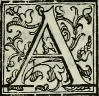 Picture 121 of 146 from Della ragion di Stato libri dieci : con tre libri Delle cause della grandezza, e magnificenza delle città (1589), leaf 302