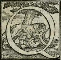 An illustration from Della ragion di Stato libri dieci : con tre libri Delle cause della grandezza, e magnificenza delle città (1589)