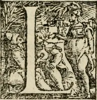 An illustration from Della ragione di stato, libri dieci. Con tre libri delle cause della grandezza delle città. Del Sig. Giovanni Botero Benese. Di nuouo in questa impressione, mutati alcuni luoghi dall' istesso autore, & accresciuti di diuersi discorsi .. (1598)