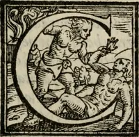 An illustration from Della ragione di stato, libri dieci. Con tre libri delle cause della grandezza delle città. Del Sig. Giovanni Botero Benese. Di nuouo in questa impressione, mutati alcuni luoghi dall' istesso autore, & accresciuti di diuersi discorsi .. (1598)