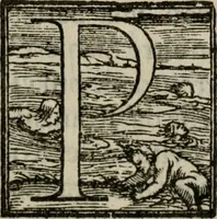 An illustration from Della ragione di stato, libri dieci. Con tre libri delle cause della grandezza delle città. Del Sig. Giovanni Botero Benese. Di nuouo in questa impressione, mutati alcuni luoghi dall' istesso autore, & accresciuti di diuersi discorsi .. (1598)