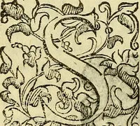 An illustration from Della ragione di stato, libri dieci (1598)