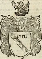 An illustration from Dell'armi, overo insegne dei nobili, ove sono i discorsi d'alcune famiglie, così spente, come vive del regno di Napoli : 4. et ultima impressione nella quale si suppliscono quelle famiglie che poste nella prima, erano dall'istesso autore state levate nella seconda (1701)