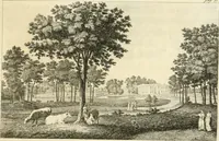 An illustration from Dell'arte dei giardini inglesi (1800)