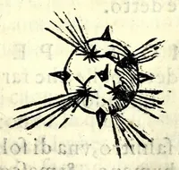 Picture 28 of 28 from Dell'arte militare libri cinqve : ne' qvali si tratta il modo di fortificare, offeendere [sic], et diffendere vna fortezza : et l'ordine come si debbano fare gli alloggiamenti campali & formare le battaglie : et nell'vltimo l'essamine de' bombardieri, & di far fuochi arteficiati (1584), leaf 423