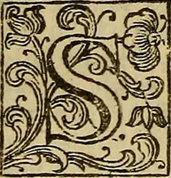 Picture 21 of 34 from Dell'arte pittorica libri VIII. : coll'aggiunta di Componimenti diversi (1768), leaf 152