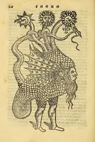Picture 19 of 24 from Della tramutatione metallica sogni tre (1599), leaf 168