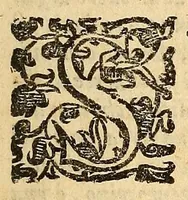 Picture 24 of 24 from Della tramutatione metallica sogni tre (1599), leaf 251