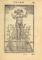 Picture 4 of 24 from Della tramutatione metallica sogni tre (1599), leaf 31
