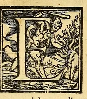 Picture 8 of 24 from Della tramutatione metallica sogni tre (1599), leaf 56