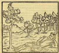 Picture 9 of 24 from Della tramutatione metallica sogni tre (1599), leaf 62