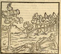 Picture 10 of 24 from Della tramutatione metallica sogni tre (1599), leaf 69