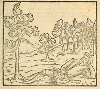 Picture 11 of 24 from Della tramutatione metallica sogni tre (1599), leaf 83