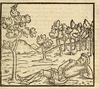Picture 14 of 24 from Della tramutatione metallica sogni tre (1599), leaf 95