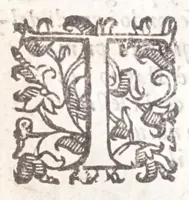 Picture 22 of 38 from Della tramutatione metallica sogni tre (1599), leaf 114