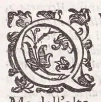 Picture 25 of 38 from Della tramutatione metallica sogni tre (1599), leaf 123
