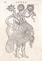 Picture 26 of 38 from Della tramutatione metallica sogni tre (1599), leaf 166