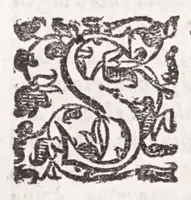 An illustration from Della tramutatione metallica sogni tre (1599)