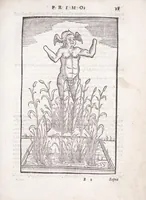 Picture 5 of 38 from Della tramutatione metallica sogni tre (1599), leaf 31