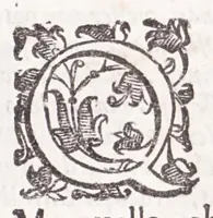 An illustration from Della tramutatione metallica sogni tre (1599)