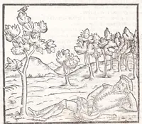 Picture 10 of 38 from Della tramutatione metallica sogni tre (1599), leaf 60