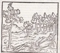 Picture 12 of 38 from Della tramutatione metallica sogni tre (1599), leaf 67