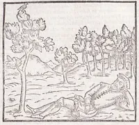 Picture 13 of 38 from Della tramutatione metallica sogni tre (1599), leaf 81