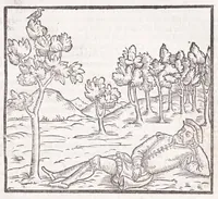 An illustration from Della tramutatione metallica sogni tre (1599)