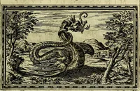 Picture 69 of 263 from Delle allusioni, imprese, et emblemi del Sig. Principio Fabricii da Teramo sopra la vita, opere, et attioni di Gregorio XIII Pontefice Massimo libri VI .. (1588), leaf 114