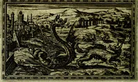 An illustration from Delle allusioni, imprese, et emblemi del Sig. Principio Fabricii da Teramo sopra la vita, opere, et attioni di Gregorio XIII Pontefice Massimo libri VI .. (1588)