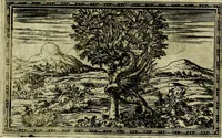 An illustration from Delle allusioni, imprese, et emblemi del Sig. Principio Fabricii da Teramo sopra la vita, opere, et attioni di Gregorio XIII Pontefice Massimo libri VI .. (1588)