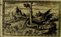Picture 243 of 263 from Delle allusioni, imprese, et emblemi del Sig. Principio Fabricii da Teramo sopra la vita, opere, et attioni di Gregorio XIII Pontefice Massimo libri VI .. (1588), leaf 343