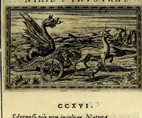 Picture 244 of 263 from Delle allusioni, imprese, et emblemi del Sig. Principio Fabricii da Teramo sopra la vita, opere, et attioni di Gregorio XIII Pontefice Massimo libri VI .. (1588), leaf 344