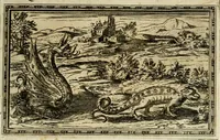 An illustration from Delle allvsioni, imprese, et emblemi del Sig. Principio Fabricii da Teramo sopra la vita, opere, et attioni di Gregorio XIII pontefice massimo, libri VI : nei quali sotto l'allegoria del drago, arme del detto pontefice, si descriue anco la uera forma d'un principe Christiano .. (1588)