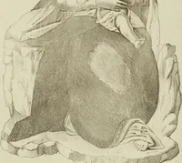 An illustration from Delle belle arti in Sicilia dai Normanni sino alla fine del secolo-[XVI] (1858)